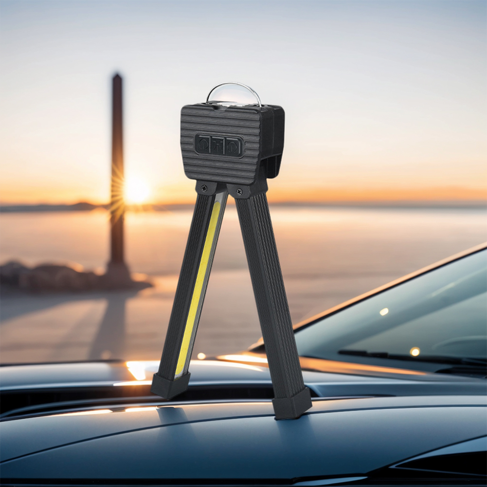 Gymlamp voor poseren Magnetisc - Home Gym In Garage recensie en prijs